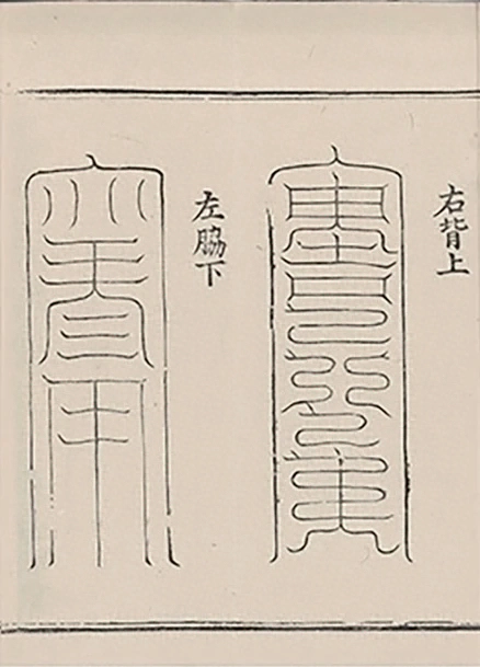 插图