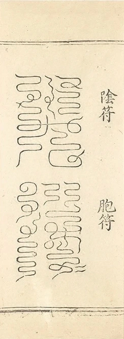 插图