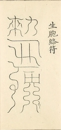 插图