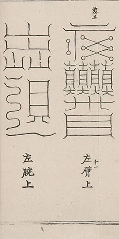 插图