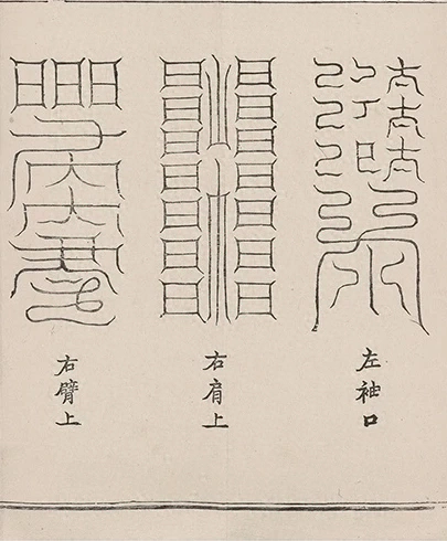 插图