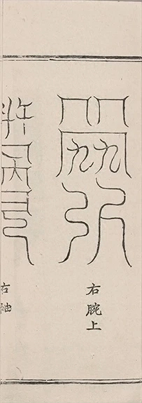 插图