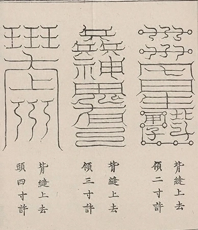 插图