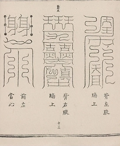 插图