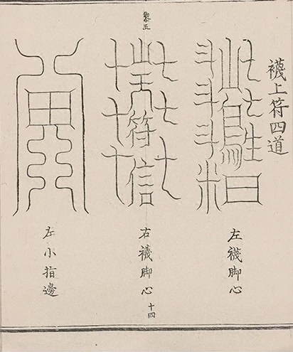 插图