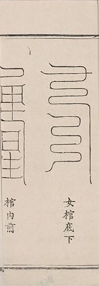 插图