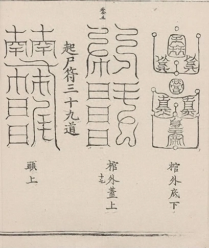 插图