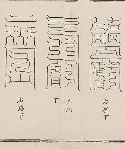 插图