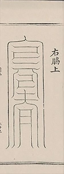 插图