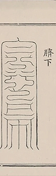 插图