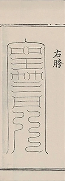 插图