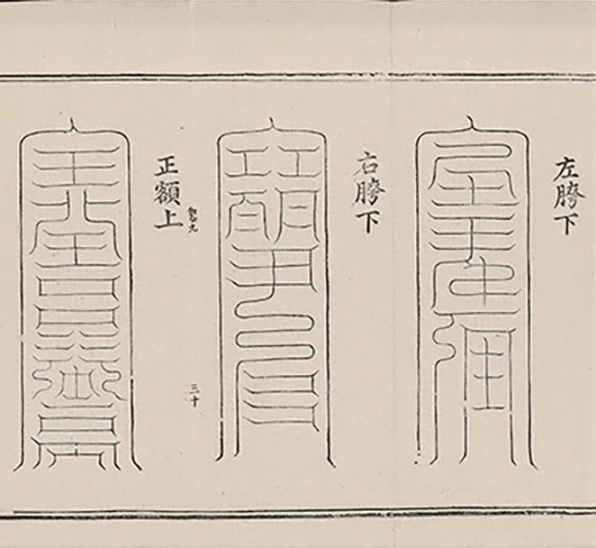 插图