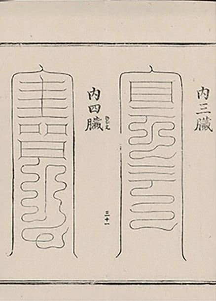 插图