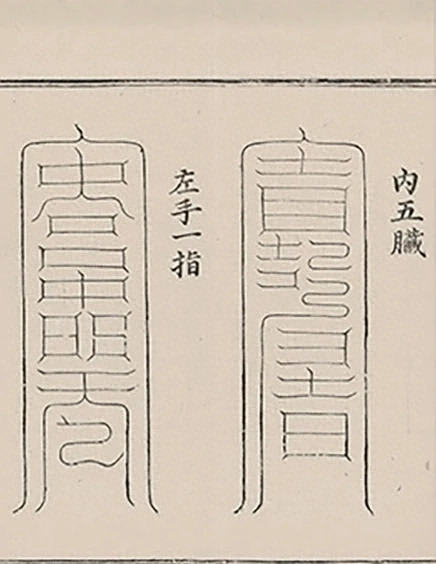 插图