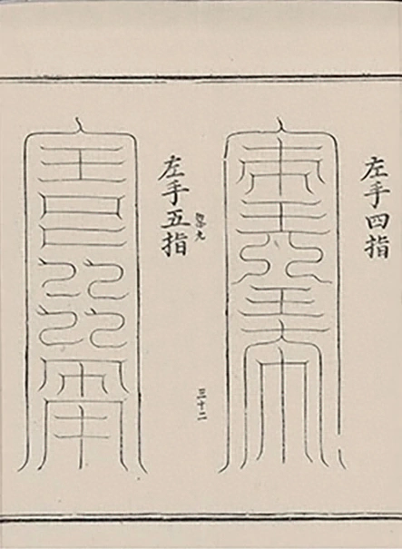 插图