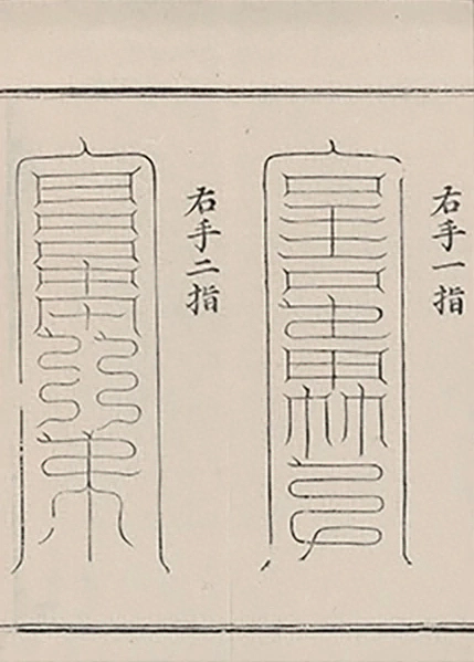 插图
