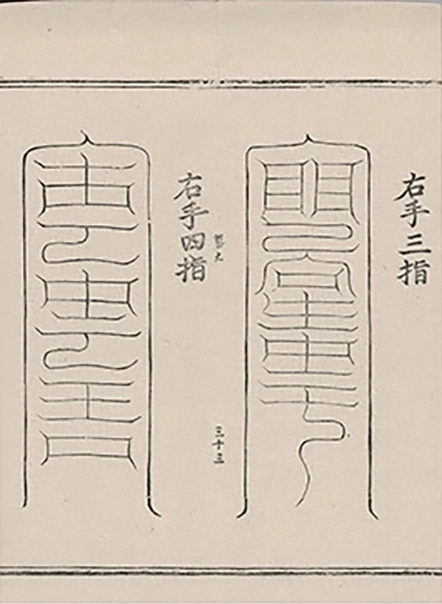 插图
