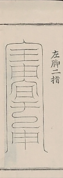 插图