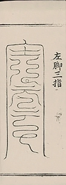 插图