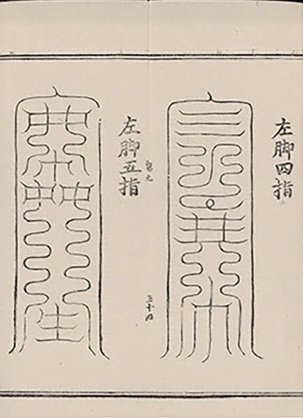 插图