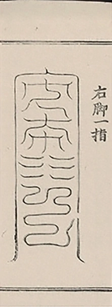 插图