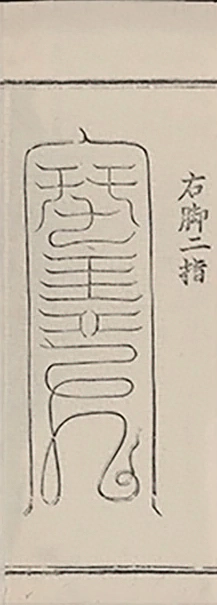 插图