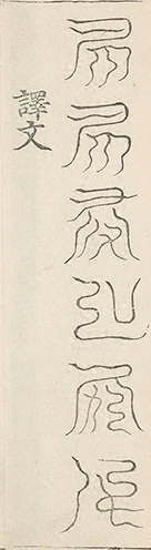 插图