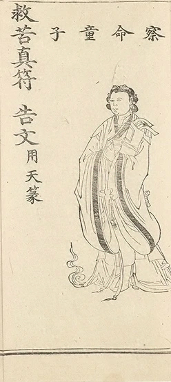 插图
