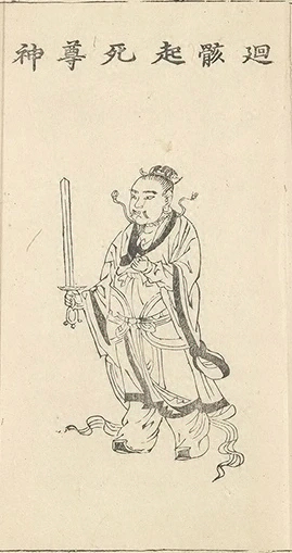 插图