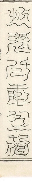 插图