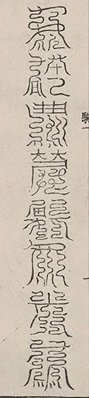 插图
