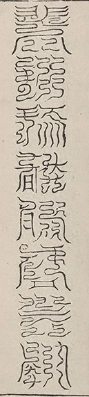 插图