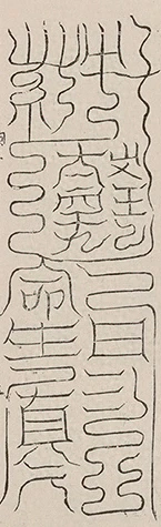插图
