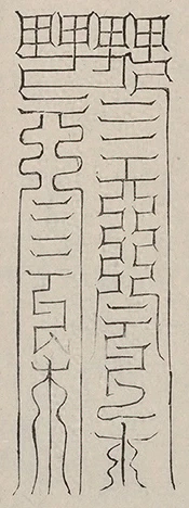 插图
