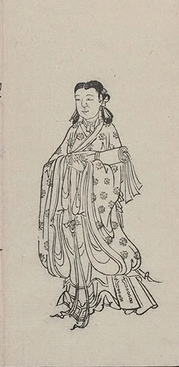 插图