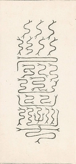 插图