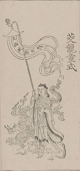 插图