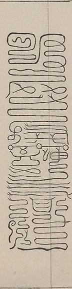 插图