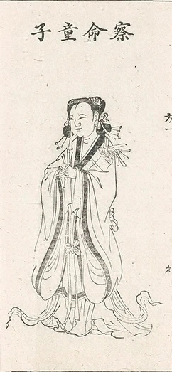 插图