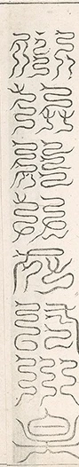 插图