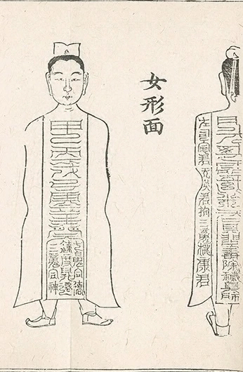 插图