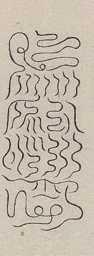 插图