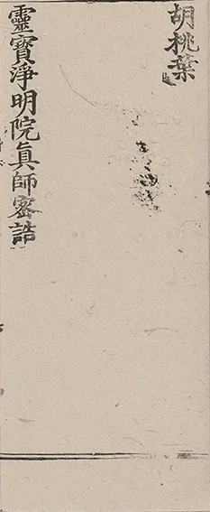 插图