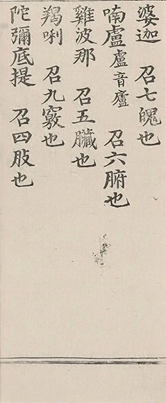 插图