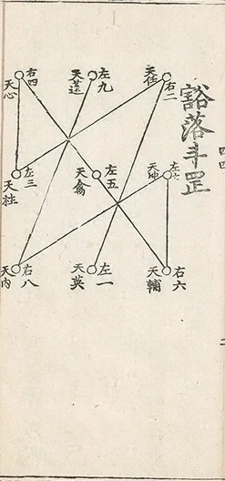 插图