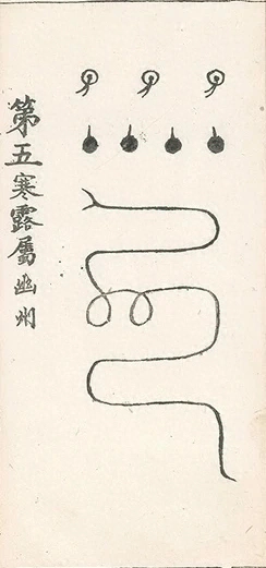 插图