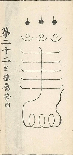 插图