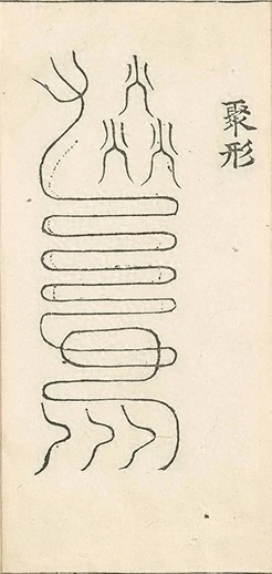 插图