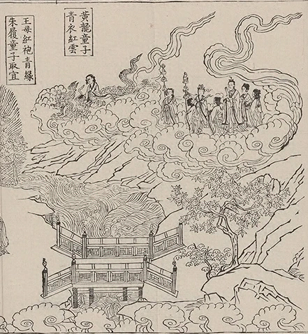 插图