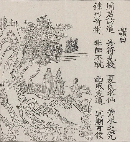 插图